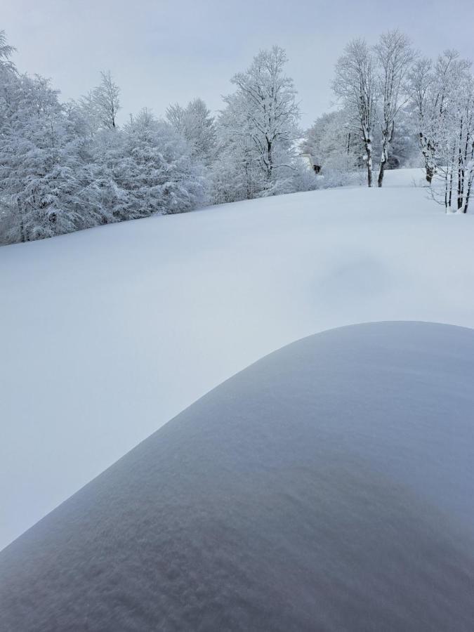 Vila Durmitor Nest Krstajic ชาเบลียค ภายนอก รูปภาพ