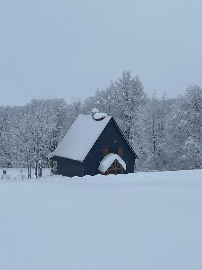 Vila Durmitor Nest Krstajic ชาเบลียค ภายนอก รูปภาพ
